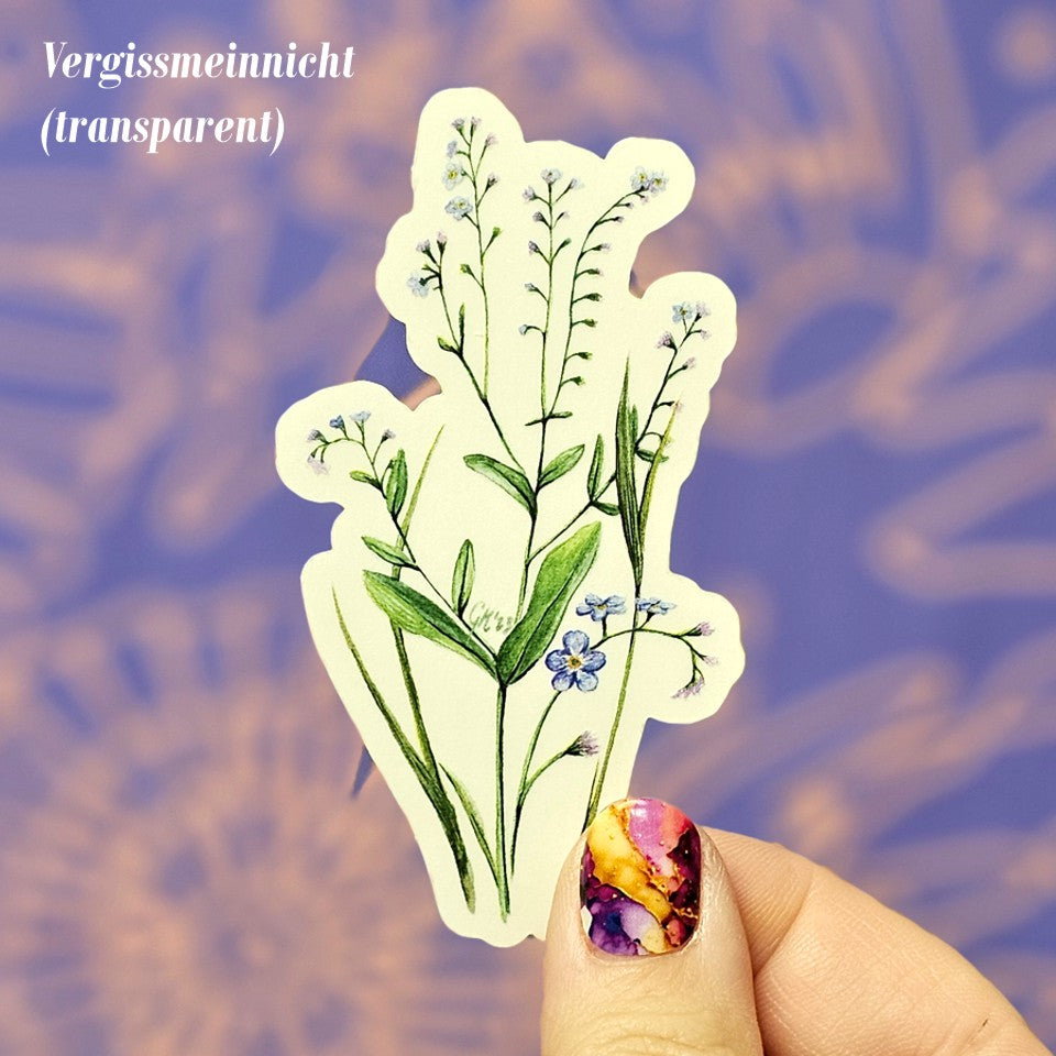 Juli'26 - Vergissmeinnicht | Botanical Art Society (Limited)