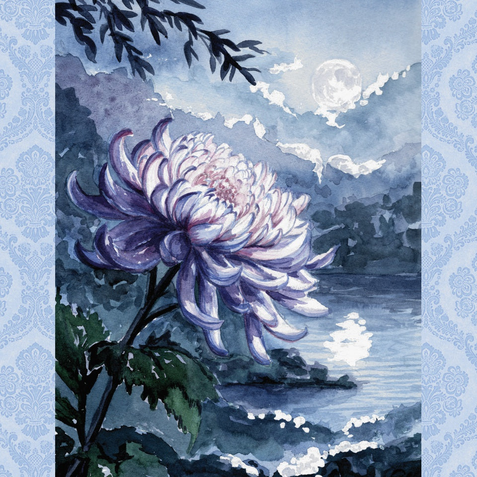 Chrysantheme | Limited November'26