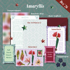 Botanical Art Society | aktuelle Snail Mail