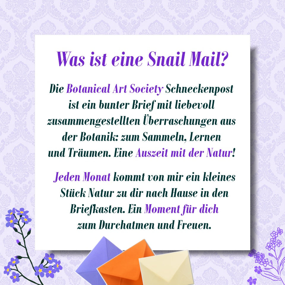Snail Mail - Botanical Art Society (aktuelles Abo)