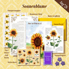 August'26 - Sonnenblume | Limited