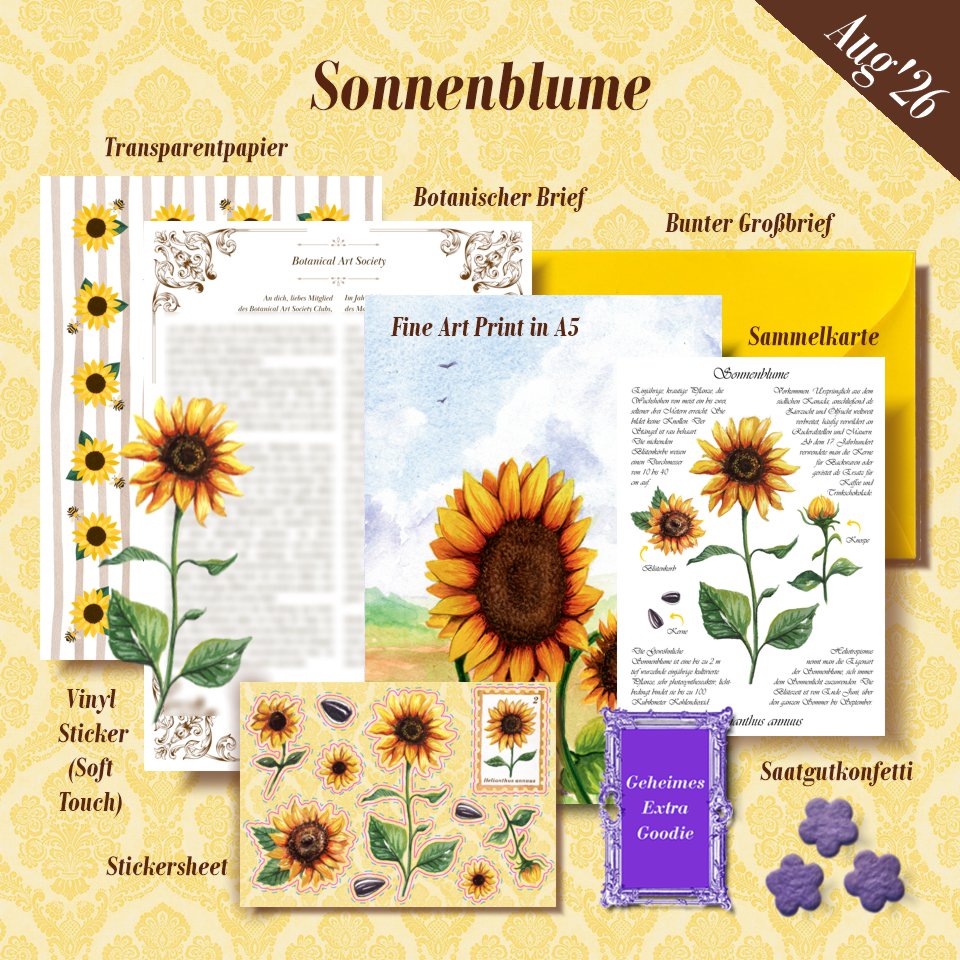 August'26 - Sonnenblume | Limited