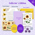 August'26 - Sonnenblume | Limited