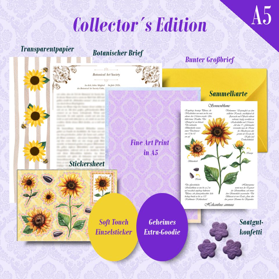 August'26 - Sonnenblume | Limited