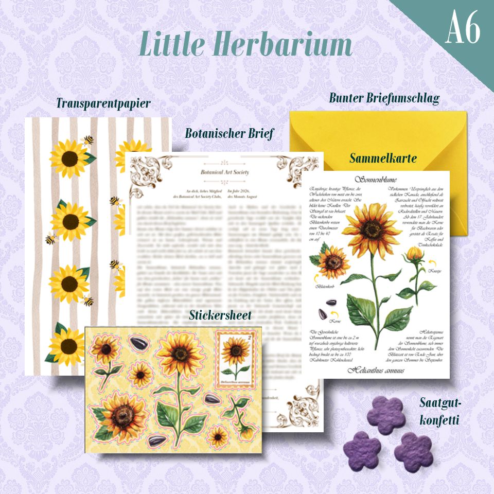 August'26 - Sonnenblume | Limited