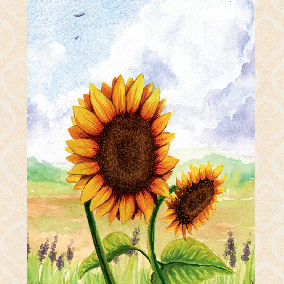 Sonnenblume | Limited August'26