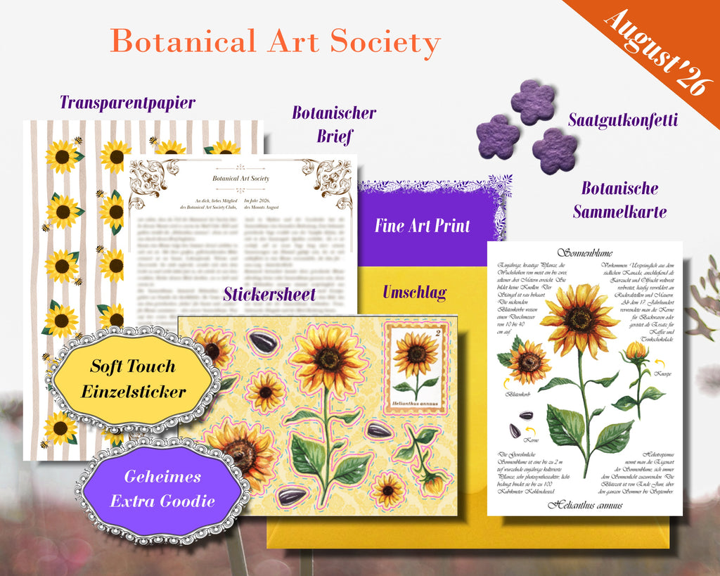 August'26 - Sonnenblume | Limited