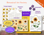 August'26 - Sonnenblume | Limited